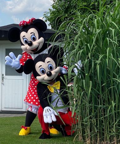 Disney Kostüme Micky Maus Mickey Mouse Minnie Maus Minnie Mouse Kostüme für Erwachsene