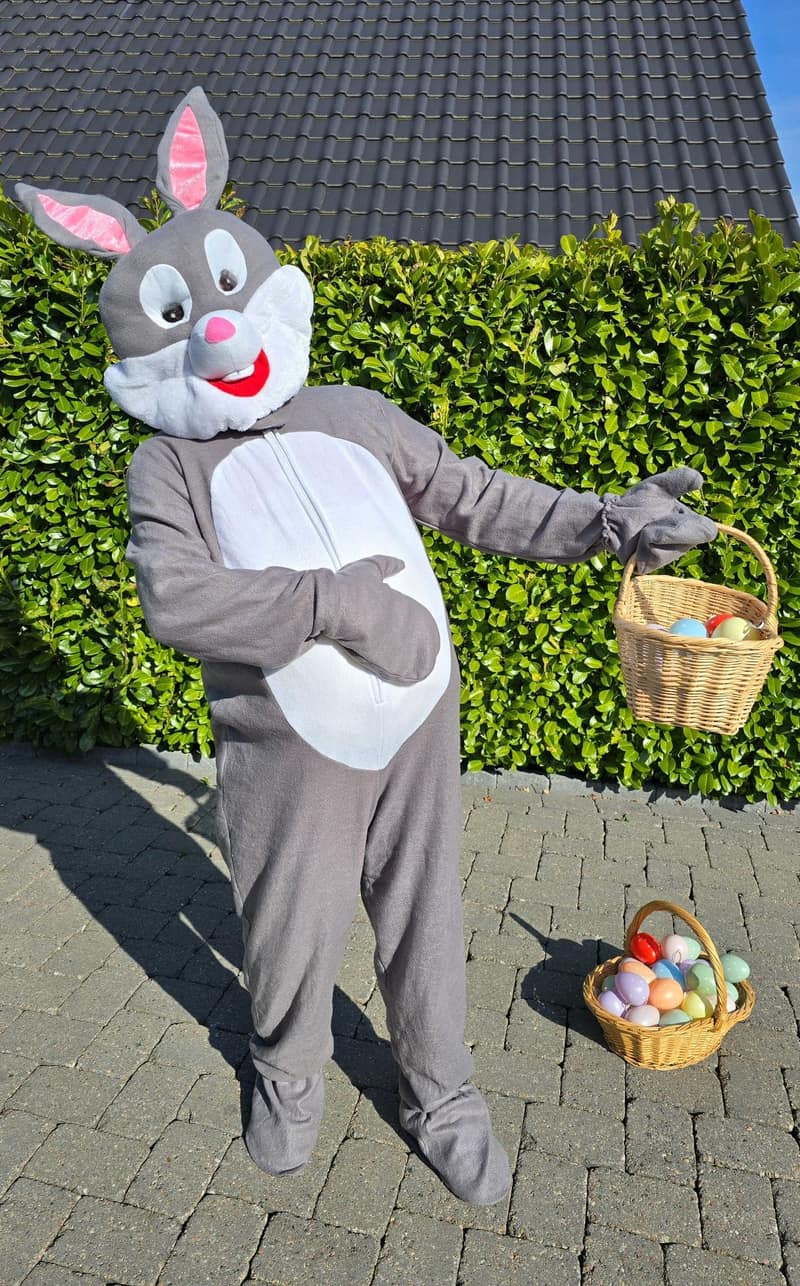 Osterhasen-Kostüme 1