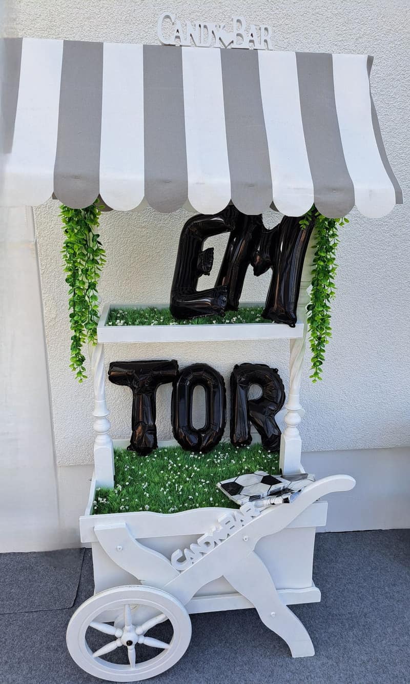 Backdrop-Partydekoration · Fotohintergründe 13