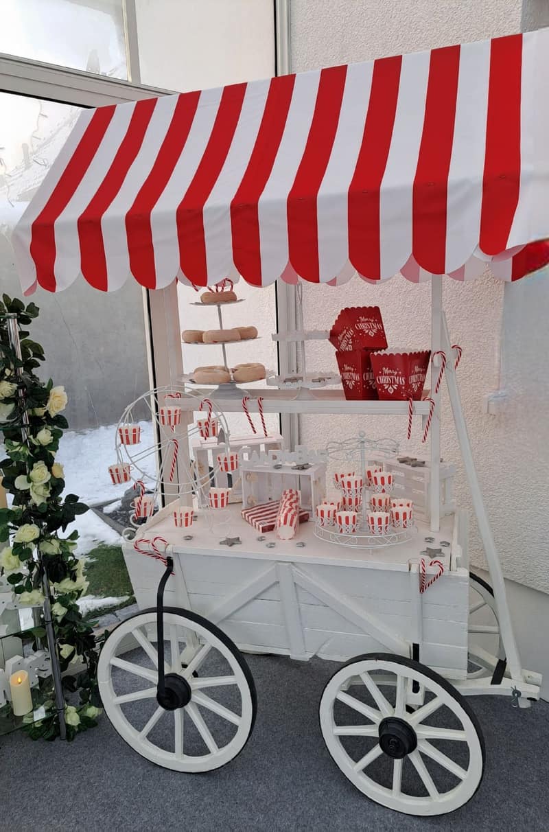 Advent & Weihnachtsdekorationen 1