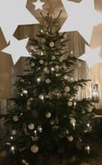 Advent & Weihnachtsdekorationen 12