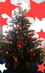 Advent & Weihnachtsdekorationen 13
