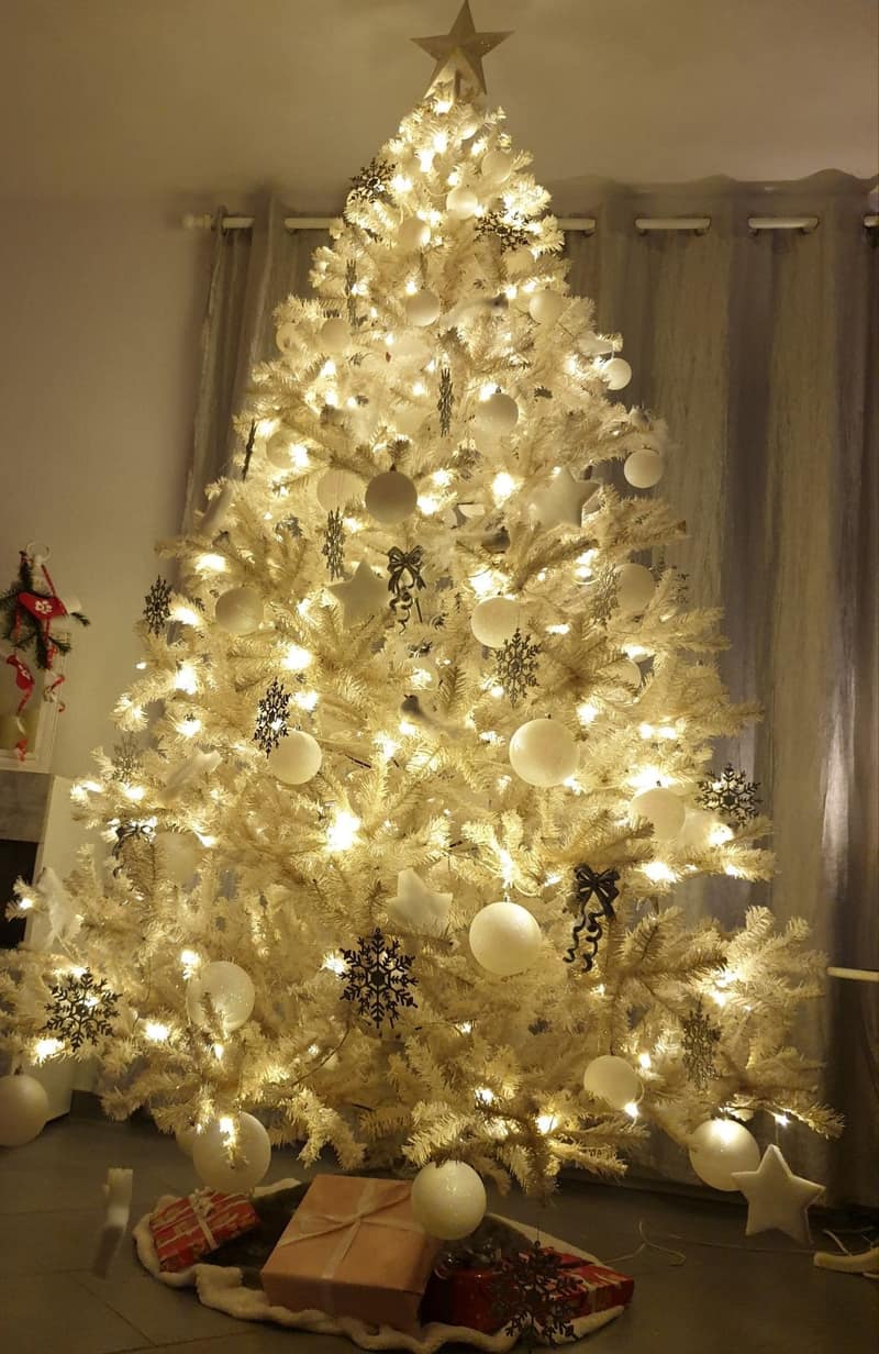 Advent & Weihnachtsdekorationen 2