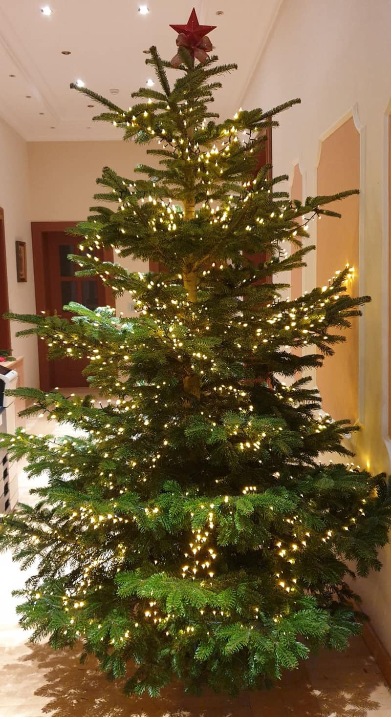 Advent & Weihnachtsdekorationen 41